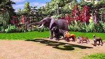 Wild Animals Race - Lion, Tiger, Cheetah, Buffalo and Elephant Race for Kids  Jungle Animals Race