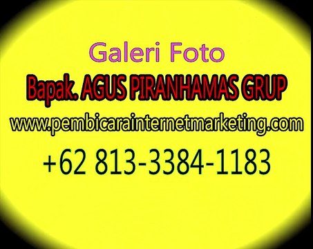 Call: +62 813-3384-1183 (T-SEL), Promotion Online Bussiness	Promotion Online Bussiness