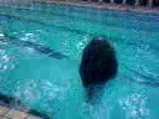 parapluie synchro folies