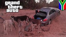Car-smuggling donkeys nabbed by South African police