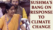 Sushma Swaraj slams opposition on issue of climate change | Oneindia News