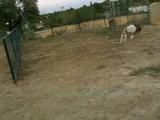 Felipe casi 11 meses: sus amigos del parque