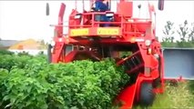 Awesome flower machine new heavy technology machine best agricultural farming