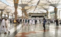 101 Kloter Jemaah Haji Tiba di Madinah