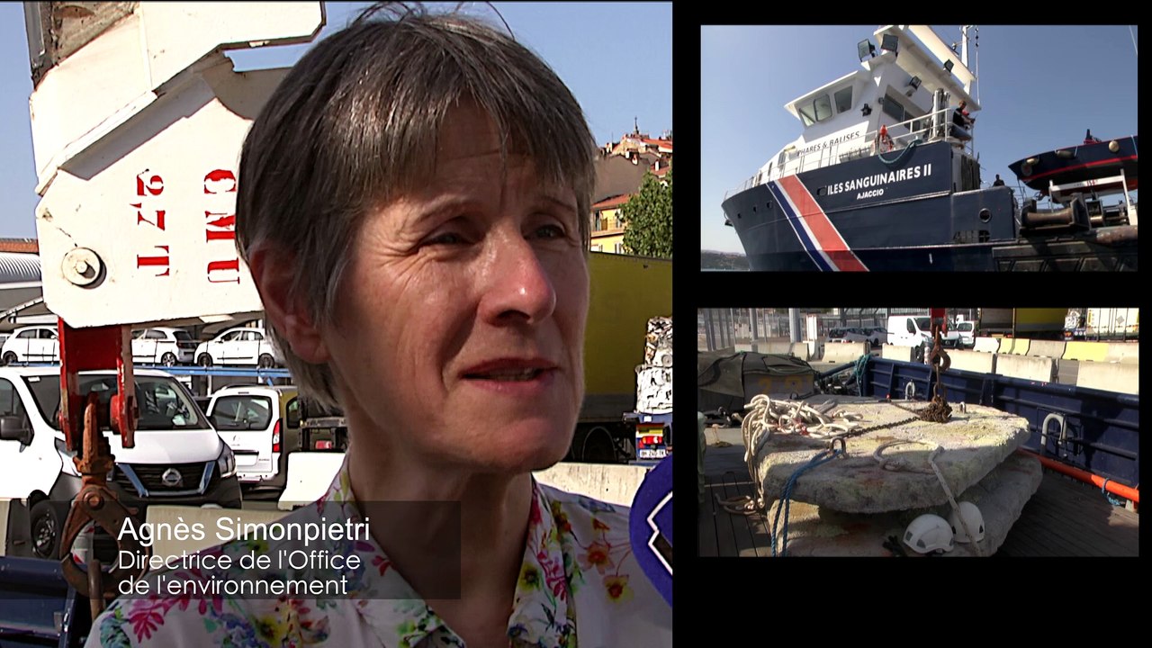 Maison de poissons : trois récifs artificiels dans le golfe d'Ajaccio