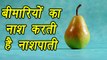 Pears, नाशपाती | Health Benefits | नाशपाती  के है सेहत से जुड़े अनगिनित फायदे | Boldsky