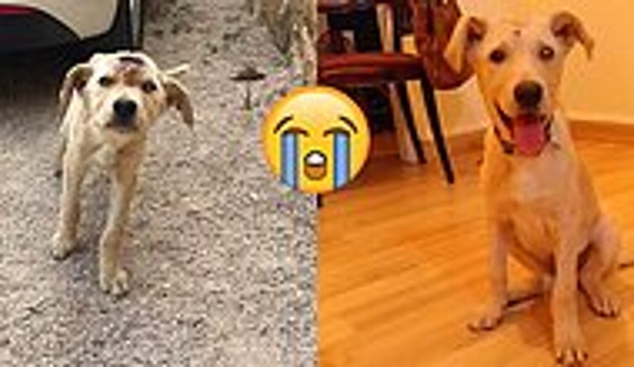 Kafasndan Vurulup Olume Terk Edilmesine Ragmen O Hic Pes Etmedi