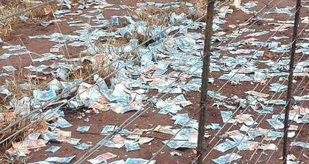 Güney Afrika'da Gökten Milyon Dolarlar Yağdı