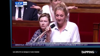 Assemblée nationale : Un député adresse un "cri de chèvre" à Alice Thourot (LREM) en pleine séance (vidéo)