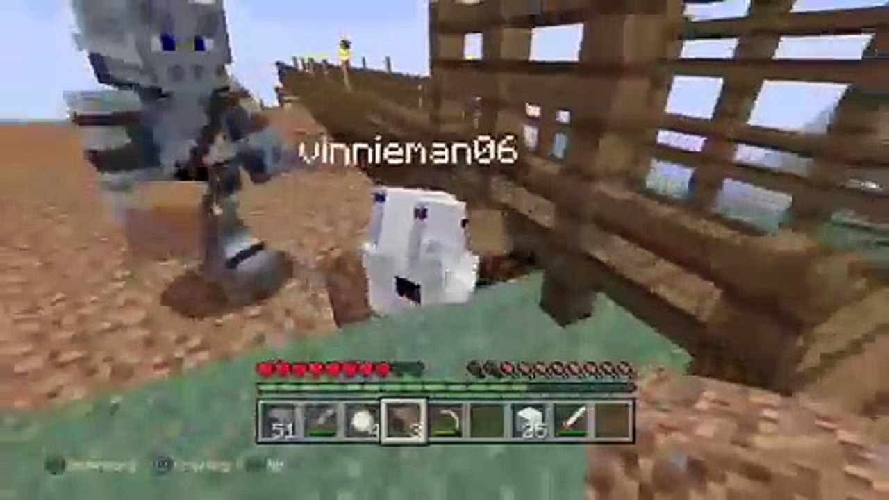 Minecraft pros (36)