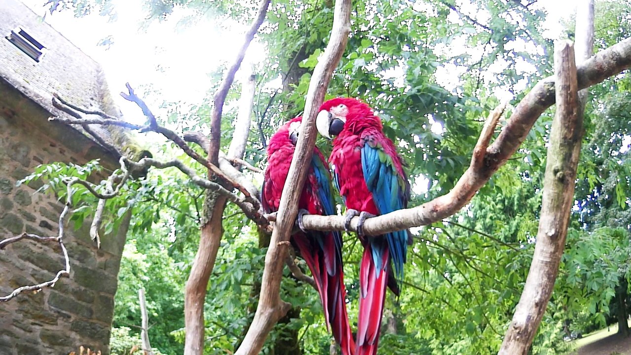 Parc de Branféré. Une aventure au cœur de la nature