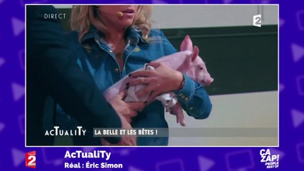 Le bêtisier des animaux à télé !