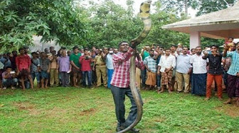 Most Satisfying Video In 2017