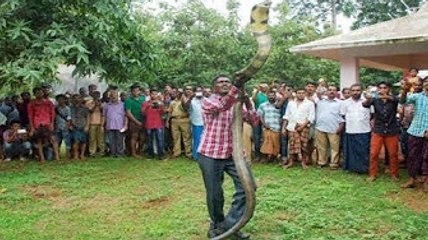 इस व्यक्ति का कारनामा देख होश उड़ जायेंगे आपके...