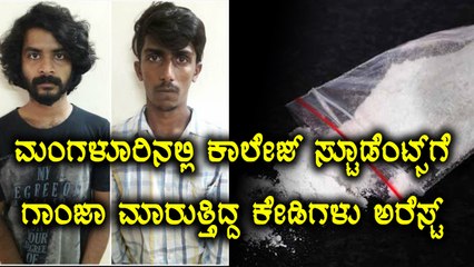 Mangaluru : CCB Police arrests 3 Ganja Peddlers