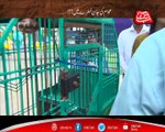 Abbtakk - Khufia - Episode 173 (Playland) - 02 August 2017