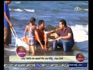 #هذا_الصباح | شمال سيناء .. شاطئ " رمانة " يواجه الأهمال رغم أهميته العلاجية