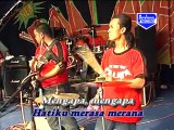 Mengapa - Brodin New PALLAPA | Dangdut Koplo Karaoke