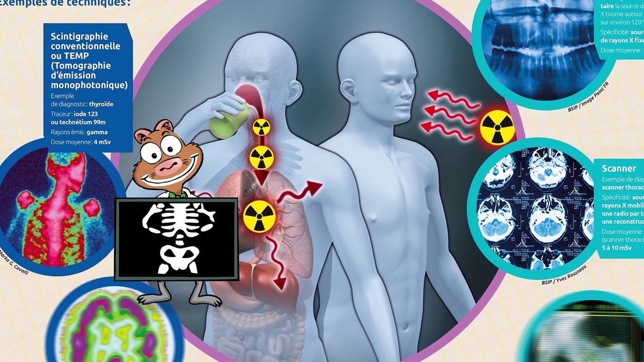 "Radioactivité" : une exposition conçue par l'ASN et l'IRSN