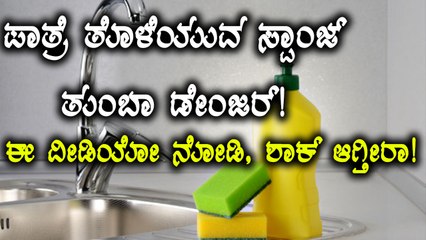 Dish washing sponge can spoil your health | To know how watch video