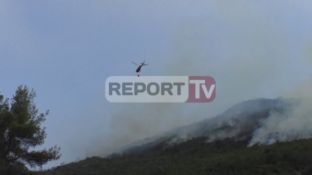 Report TV - Situata e zjarreve, EC: Në 24 orë 15 vatra zjarri në të gjithë vendin