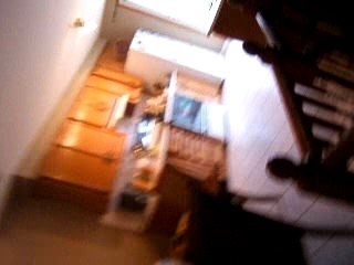 Les omelettes bruler de cath