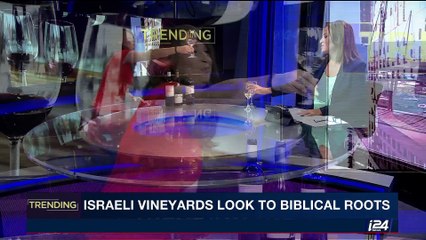 TRENDING | Israeli vinyards look to biblical roots | Friday, August 4th 2017