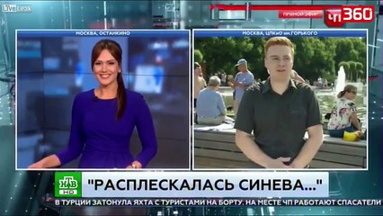 Gazetari goditet me grusht nga nje i dehur ne transmetim live (360video)