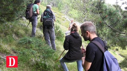 Opération de comptage des galliformes de montagne