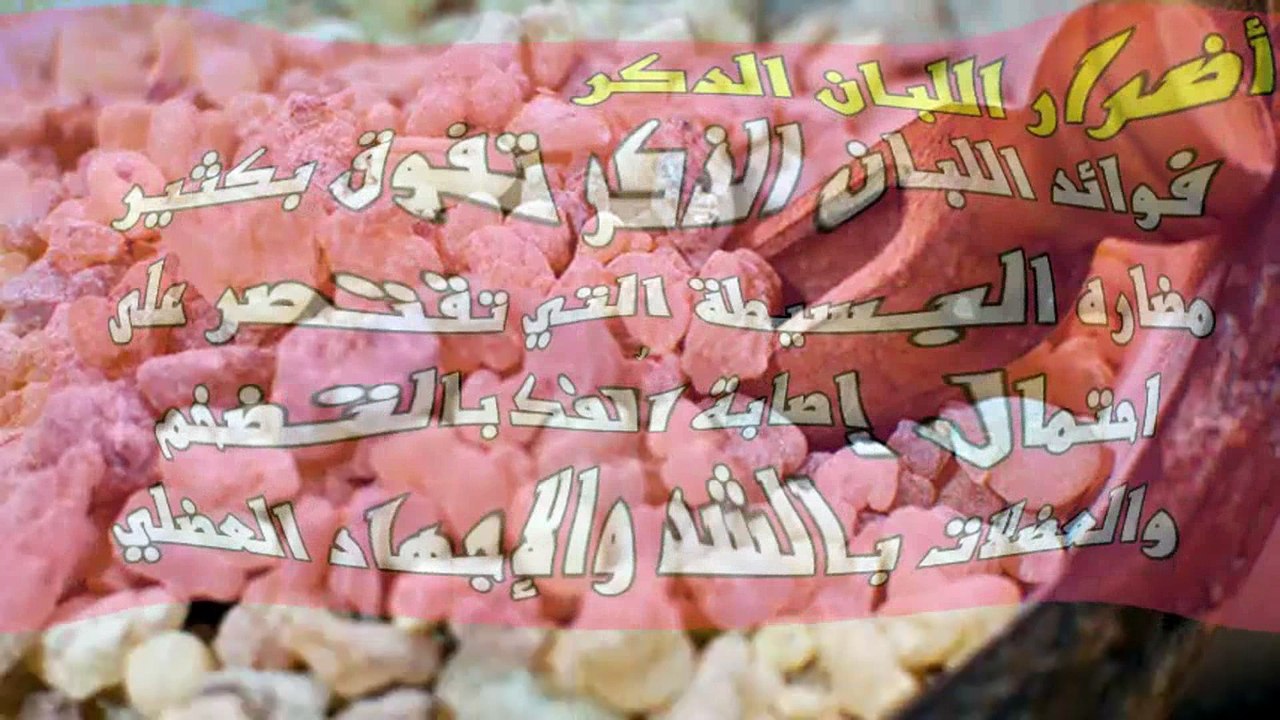أضرار اللبان الدكر