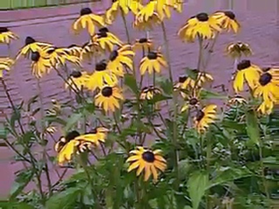 Tagesschau | 04. August 1997 20:00 Uhr (mit Joachim Brauner) | Das Erste