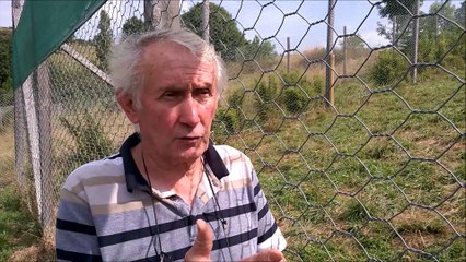 Tonga Saint-Martin la Plaine