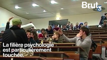 Sélection en master : de nombreux étudiants sur le carreau