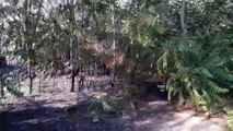 Andria: bruciano alberi e coltivazioni, intervengono volontari e Vigili del Fuoco