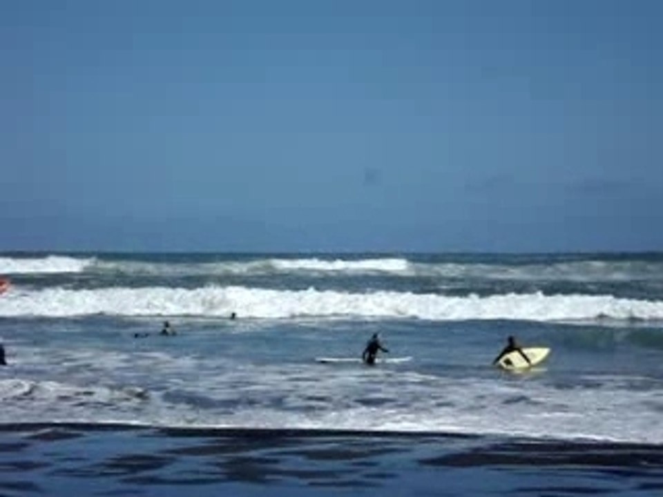 Piha Beach1