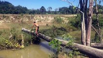 Il s'explose en traversant une rivière en vélo sur un tronc d'arbre...