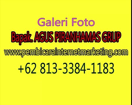 Call: +62 813-3384-1183 (T-SEL), Trainer Promotion Online	Trainer Promotion Online