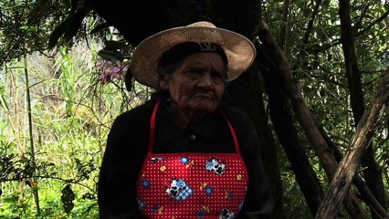 SEÑORITA MARÍA, LA FALDA DE LA MONTAÑA (Miss Maria, skirting the mountain) - TRÁILER OFICIAL