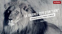 Chronobiologie mode d'emploi #2 : la journée type d'un 