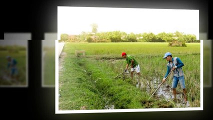 EM CÓ VỀ QUẢNG TRỊ VỚI ANH KHÔNG