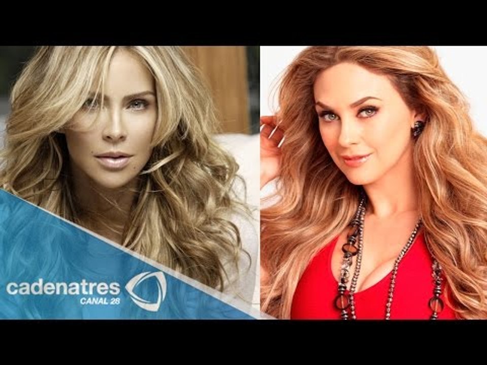 Aylín Mujica desmiente pleito con Aracely Arámbula / Aylin Mujica denies lawsuit with Arambula