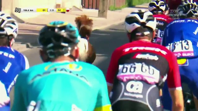 Tour de Pologne 2017 : Un poney prend part à la course avec les cyclistes !