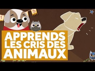 Apprendre Les Cris des Animaux - L'École des Zibous ! Vidéo Educative