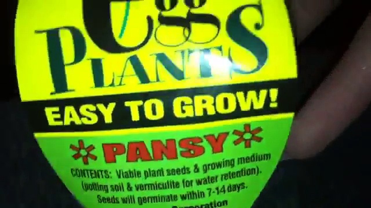 OMG !!!