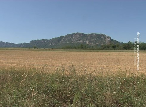 Suša uništila rod svih kultura, 4. avgust 2017 (RTV Bor)
