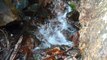 Bruit de l’eau qui coule : L’eau c’est la Vie – Calme Rivière Nature Haute Montagne Zen - Vlog