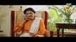 Mohabbat Mushkil Hai Episode 24 HUM TV Drama 3 August 2017