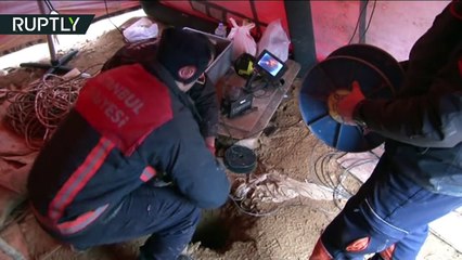 Lucky Puppy- Turkish firemen rescue dog from 70-metre well after 10 days