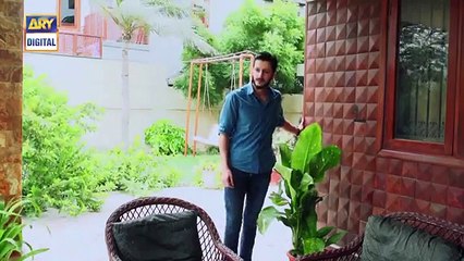 Main Mehru Hoon Episode 229