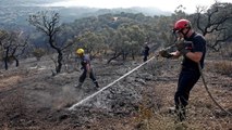 Les feux continuent de gagner du terrain en Corse